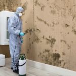 Mold Remediation Pros