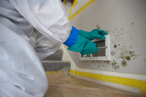 Mold Remediation Pros Picture 5