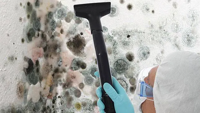 Mold Remediation Pros Picture 10