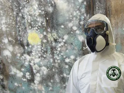 Mold Remediation Pros Picture 9