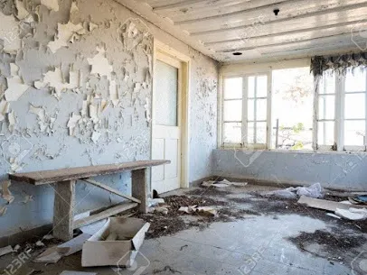 Mold Remediation Pros Picture 7