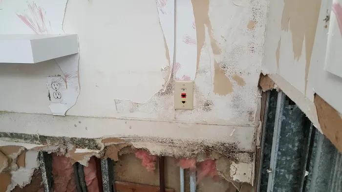 Rock Wood Services, Inc. Picture 1