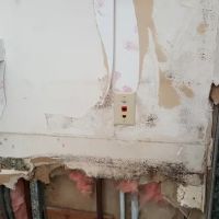 Rock Wood Services, Inc. ico