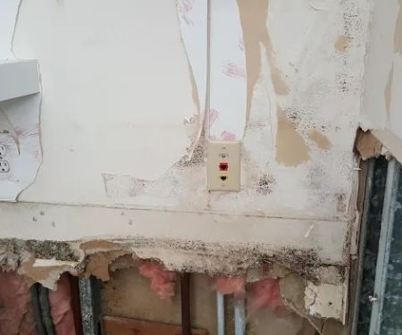 Rock Wood Services, Inc.