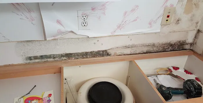 Rock Wood Services, Inc. Picture 5