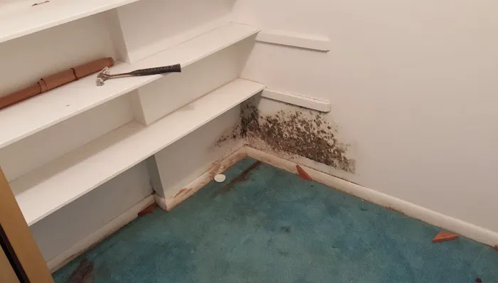 Rock Wood Services, Inc. Picture 7