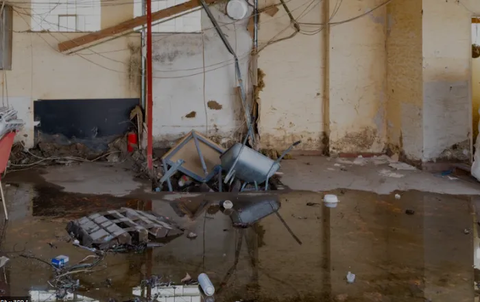 Crispo Repairs Picture 4