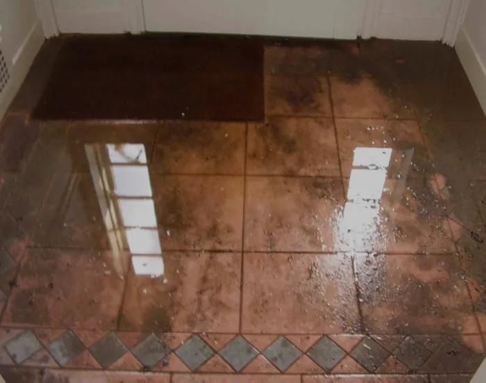 Crispo Repairs Picture 8