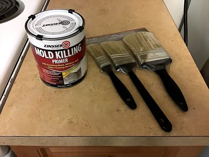 Mold Remediation Fort Lauderdale Picture 3