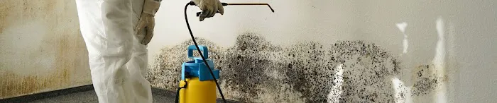 Mold Remediation Fort Lauderdale Picture 1