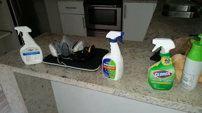 Mold Remediation Fort Lauderdale Picture 6