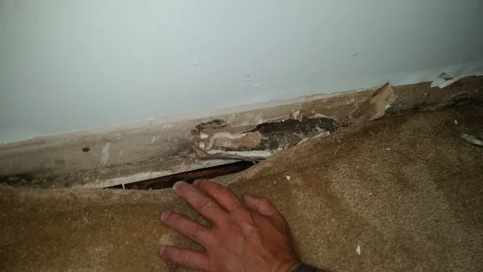 Mold Remediation Fort Lauderdale Picture 7