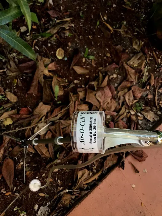 Mold Remediation Fort Lauderdale Picture 9