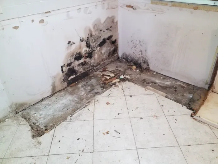 Quality Restoration Solutions Picture 1