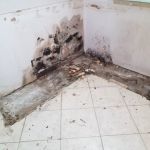 Quality Restoration Solutions