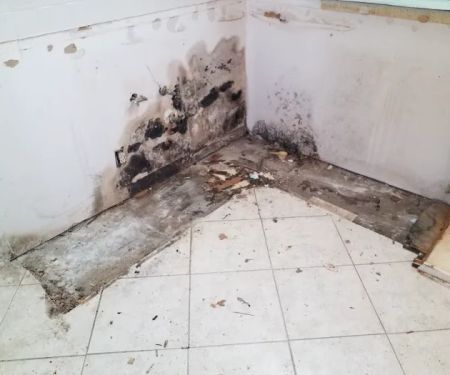 Quality Restoration Solutions