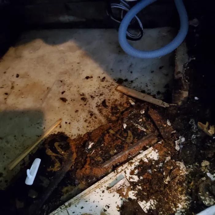 Quality Restoration Solutions Picture 9