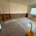 Soflo Mold Specialist