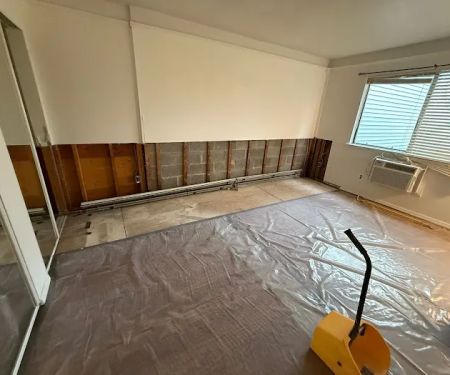 Soflo Mold Specialist