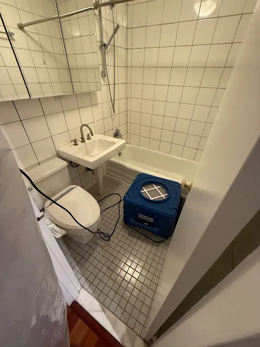 Soflo Mold Specialist Picture 2