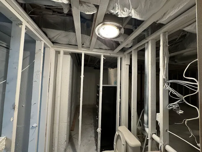 Soflo Mold Specialist Picture 5