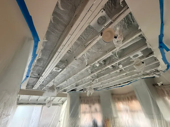 Soflo Mold Specialist Picture 4