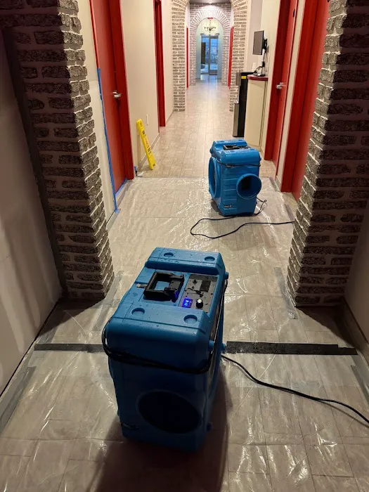 Soflo Mold Specialist Picture 9