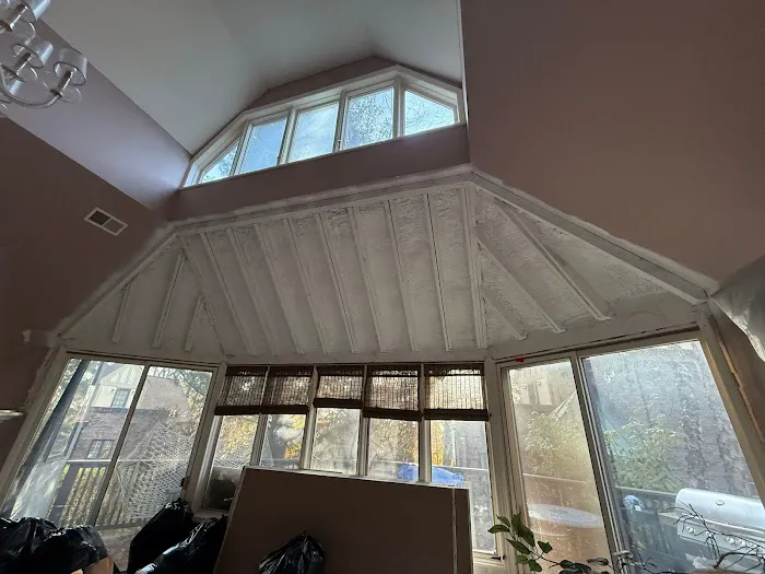 Soflo Mold Specialist Picture 7