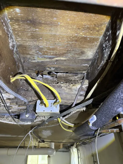 Soflo Mold Specialist Picture 8