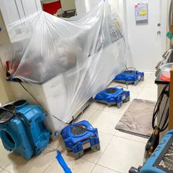 Family 1st Picture 4