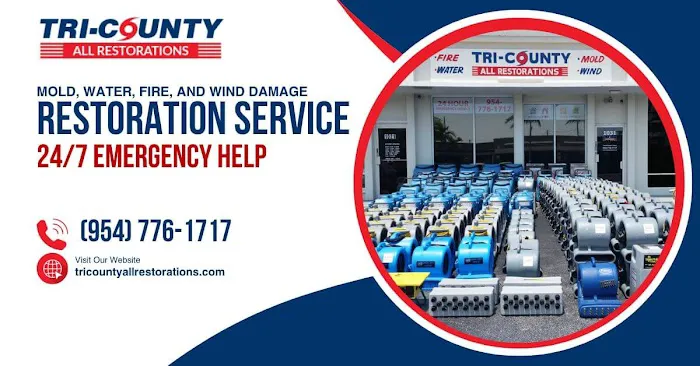 Tri-County All Restorations Picture 2