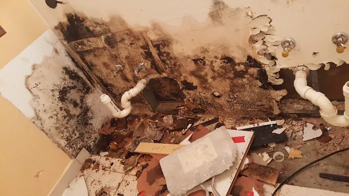 Tri-County All Restorations Picture 5