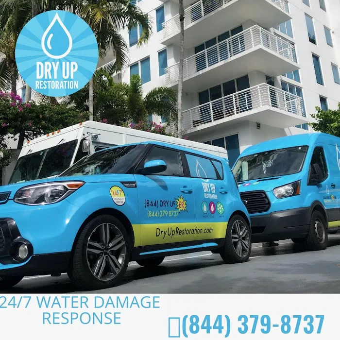 Dry Up Restoration Picture 3