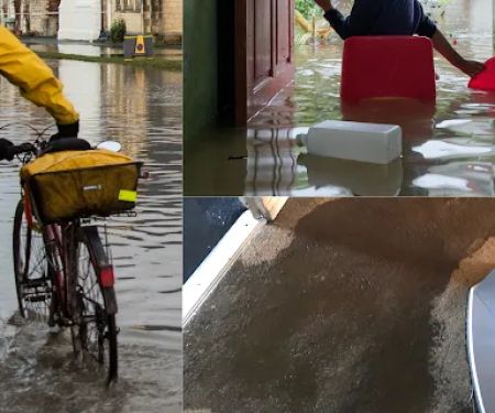 SERVPRO of Fort Lauderdale