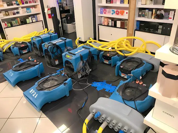 FULL SERVICE PROS Picture 4