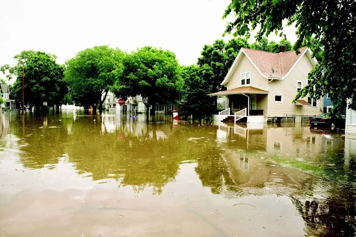 GLOBAL ENTERPRISE DISASTER RESTORATION Picture 2