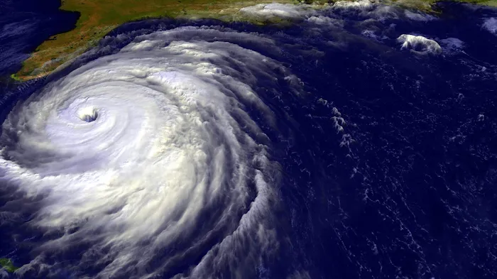 GLOBAL ENTERPRISE DISASTER RESTORATION Picture 3