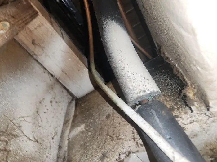 Mold & Duct Cleaning Experts Picture 4