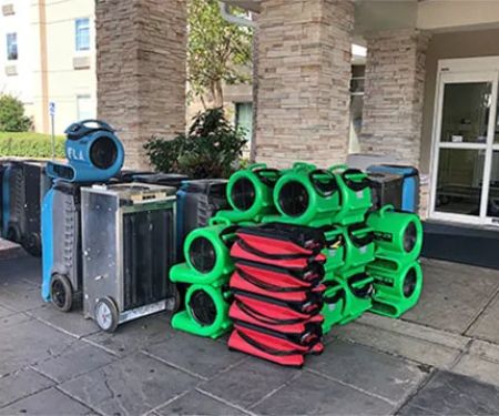 Oakland Park First Mold removal