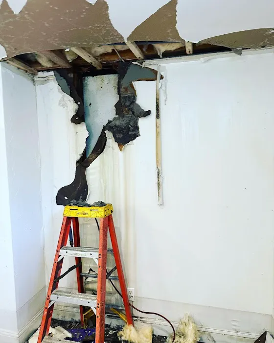 Oakland Park First Mold removal Picture 5