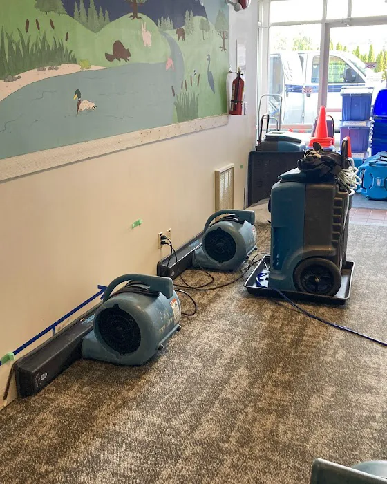 Oakland Park First Mold removal Picture 7