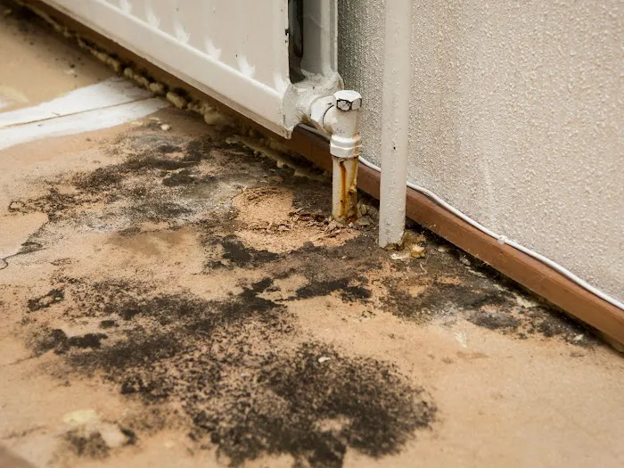 Speedy Water Damage Restoration Coral Springs Picture 6