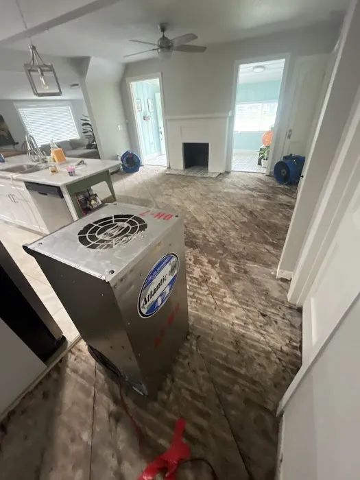 Florida Mold Testers LLC Picture 5