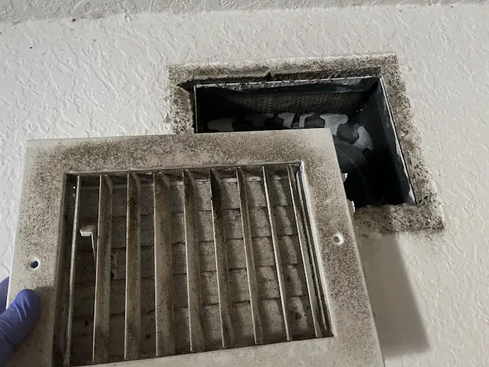 Florida Mold Testers LLC Picture 6