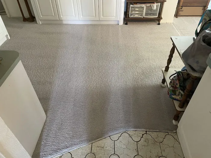 DrySteam Cleaning & Restoration Picture 5