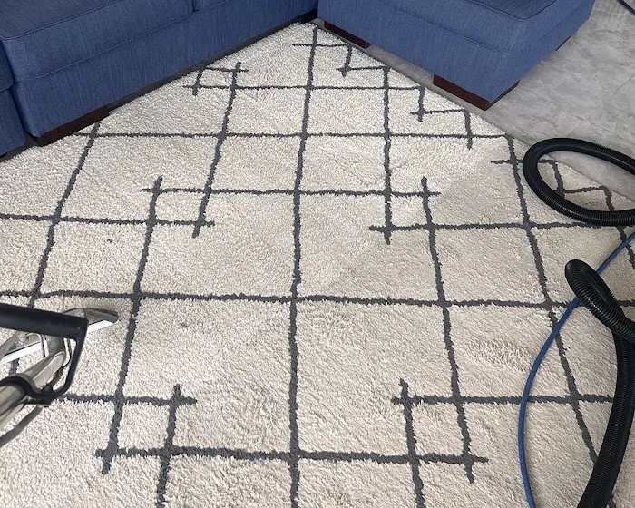 DrySteam Cleaning & Restoration Picture 6