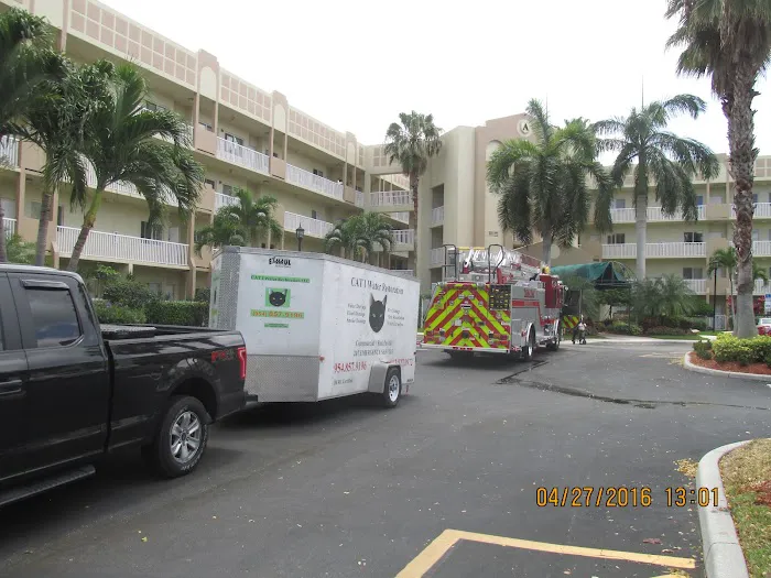 Cat1 Water Restoration Picture 7