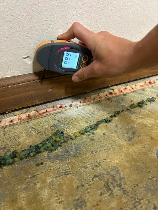 Margate Top-notch Mold removal Picture 3