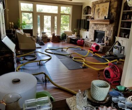 Margate Top-notch Mold removal