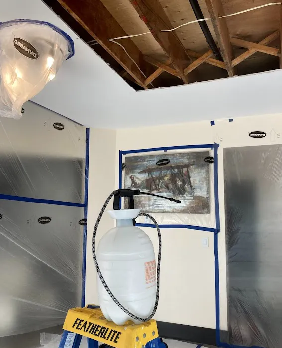 Margate Top-notch Mold removal Picture 10